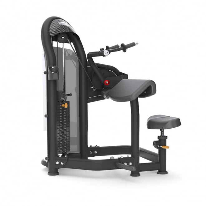 Трицепс-машина MATRIX Aura Triceps Extension G3-S45, фото