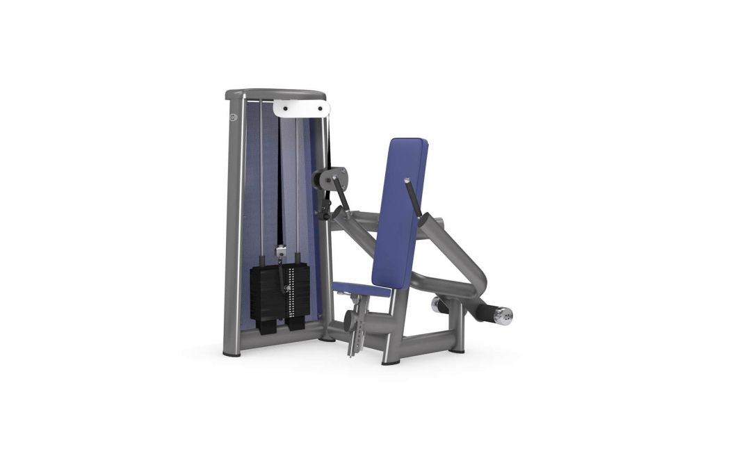 Трицепс-машина GYM80 Sygnum Standarts Triceps Machine vertical 3036, фото