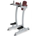 Поднятие коленей/брусья TRUE FITNESS (PARAMOUNT) XFW6400-19, фото