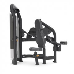 Отжимание сидя MATRIX Aura Triceps Press G3-S42, фото