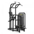 Стойка для подтягиваний TECHNOGYM Kneeling Easy Chin Dip, фото