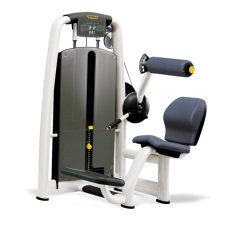Разгибание спины TECHNOGYM Selection Lower Back Med, фото