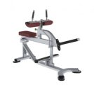 Икроножные, подъем коленей сидя TRUE FITNESS (PARAMOUNT) XFW5700-19, фото