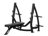 Олимпийская скамья с держателями дисков HOIST Commercial Freeweight Line CF-3170, фото
