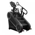 Лестница STAIRMASTER 10G 15, фото