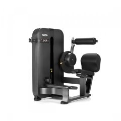 Гиперэкстензия TECHNOGYM Artis Lower Back, фото