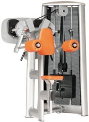 Дельтовидная машина GYM80 Sygnum Standarts Deltoid Raise Machine 3015, фото