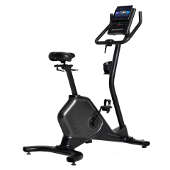 Вертикальный велотренажер SCHWINN 590U, фото