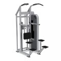 Гравитрон NAUTILUS Impact Chin Dip Assist CHF/9NA-S6334-13AGS, фото