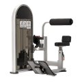 Пресс/поясница NAUTILUS Instinct Dual Abdominal/Lower Back CHF/9NL-D6330-29AGS, фото