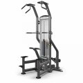 Подтягивание / Отжимание с помощью TRUE FITNESS FUSE-4000, фото