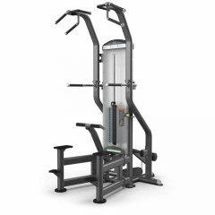 Подтягивание / Отжимание с помощью TRUE FITNESS FUSE-4000, фото