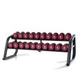 Стойка для 10 пар гантелей PANATTA Fit Evo 1FE250, фото
