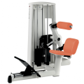 Тренажер для разгибания спины GYM80 Sygnum Standards 3038, фото