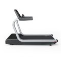 Беговая дорожка PANATTA Fenix Runner 1FX103, фото