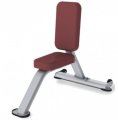 Скамья TRUE FITNESS (PARAMOUNT) XFW4400-19, фото