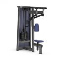 Задняя дельта GYM80 Sygnum Standarts Upper Back Machine 3025, фото