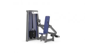 Трицепс-машина GYM80 Sygnum Standarts Triceps Machine vertical 3036, фото