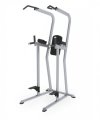 Поднятие коленей/брусья/турник TRUE FITNESS (PARAMOUNT) FS23, фото