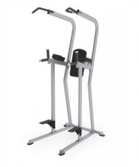Поднятие коленей/брусья/турник TRUE FITNESS (PARAMOUNT) FS23, фото
