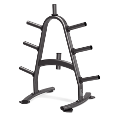 Стойка для дисков BRONZE GYM BR-1022, фото