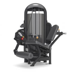 Разгибание ног MATRIX Aura Leg Extension G3-S71, фото