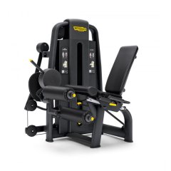 Сгибание/разгибание ног TECHNOGYM Selection 700 Dual Leg Curl / Extension, фото