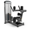 Вращение торса TRUE FITNESS FUSE-1700, фото