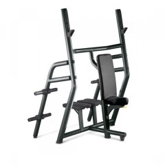 Скамья TECHNOGYM Vertical Bench, фото