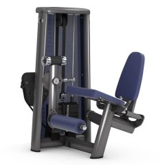Разгибание ног сидя GYM80 Sygnum Standarts Leg Exstension 3001, фото