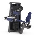 Сгибание ног сидя GYM80 Sygnum Standarts Seated Leg Curl 3003, фото