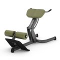 Гиперэкстензия GYM80 Sygnum Basic 4119, фото