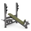 Скамья для жима под углом вверх GYM80 Sygnum Basic 4096, фото