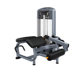 Сгибание ног лежа PRECOR DSL606, фото