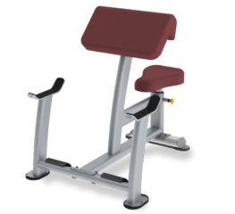 Скамья Скотта TRUE FITNESS (PARAMOUNT) XFW5000-19, фото