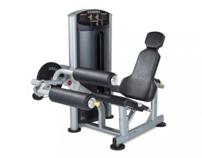Сгибание/разгибание ног сидя TRUE FITNESS Force SD1000, фото