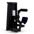 Разгибание спины GYM80 Sygnum Standarts Lower Baсk Machine 3007, фото